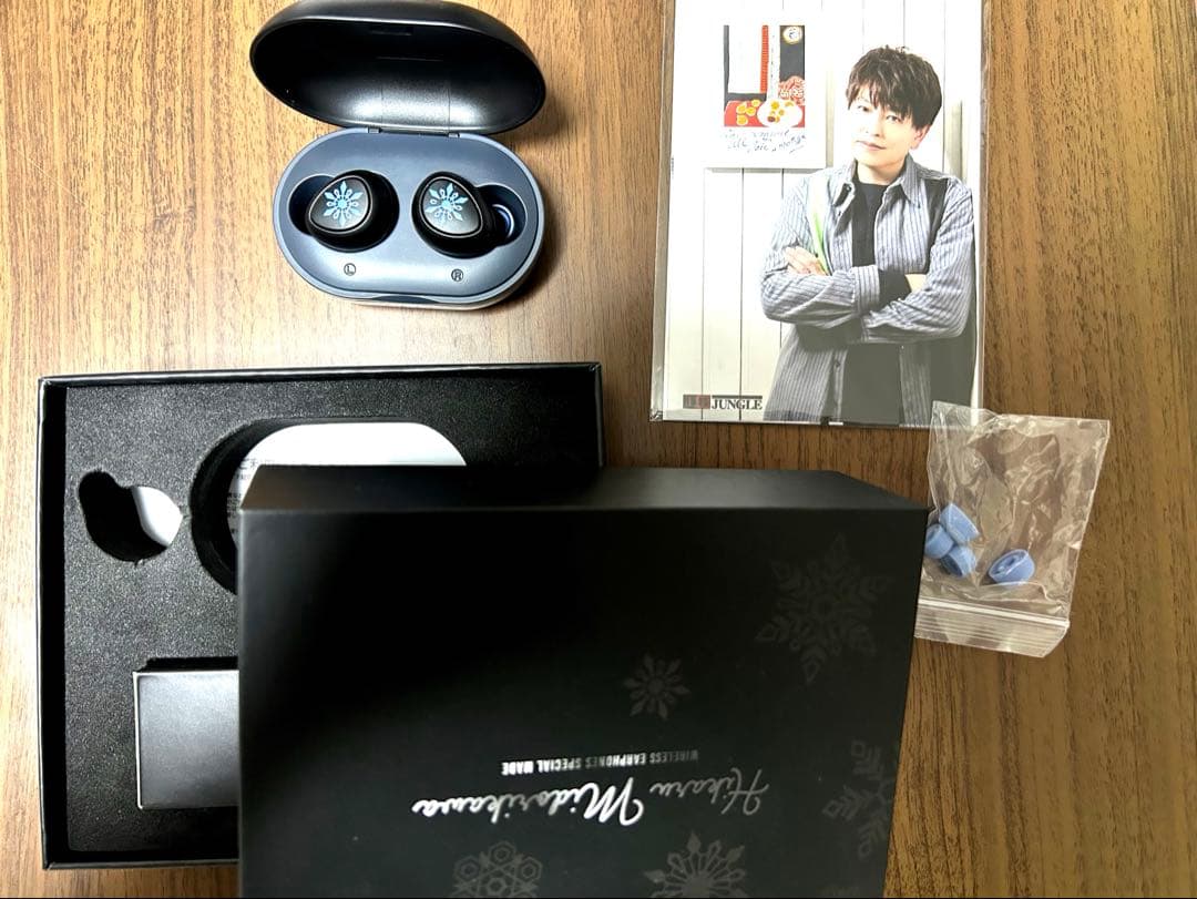 イヤホン　緑川光　モデル