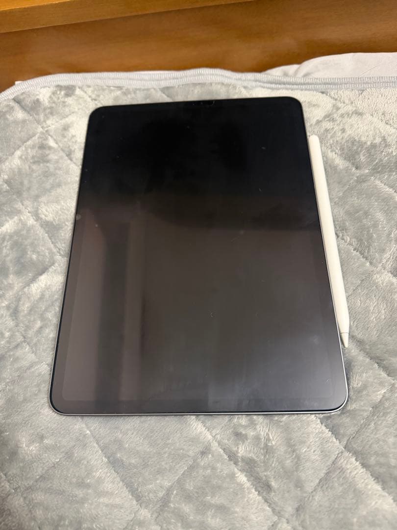 Apple iPad Pro 11インチ（第2世代）+ Apple Pencil