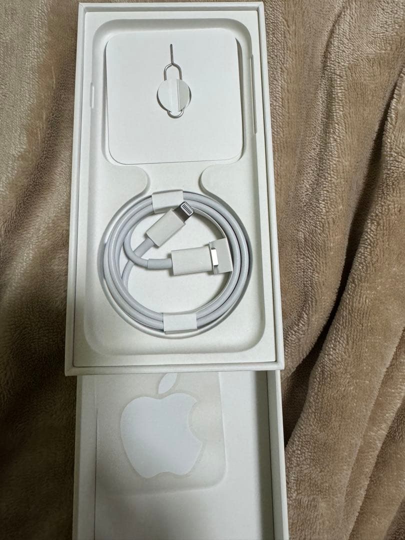 iPhone SE (第3世代) 256GBスターライト 本体　付属品付き