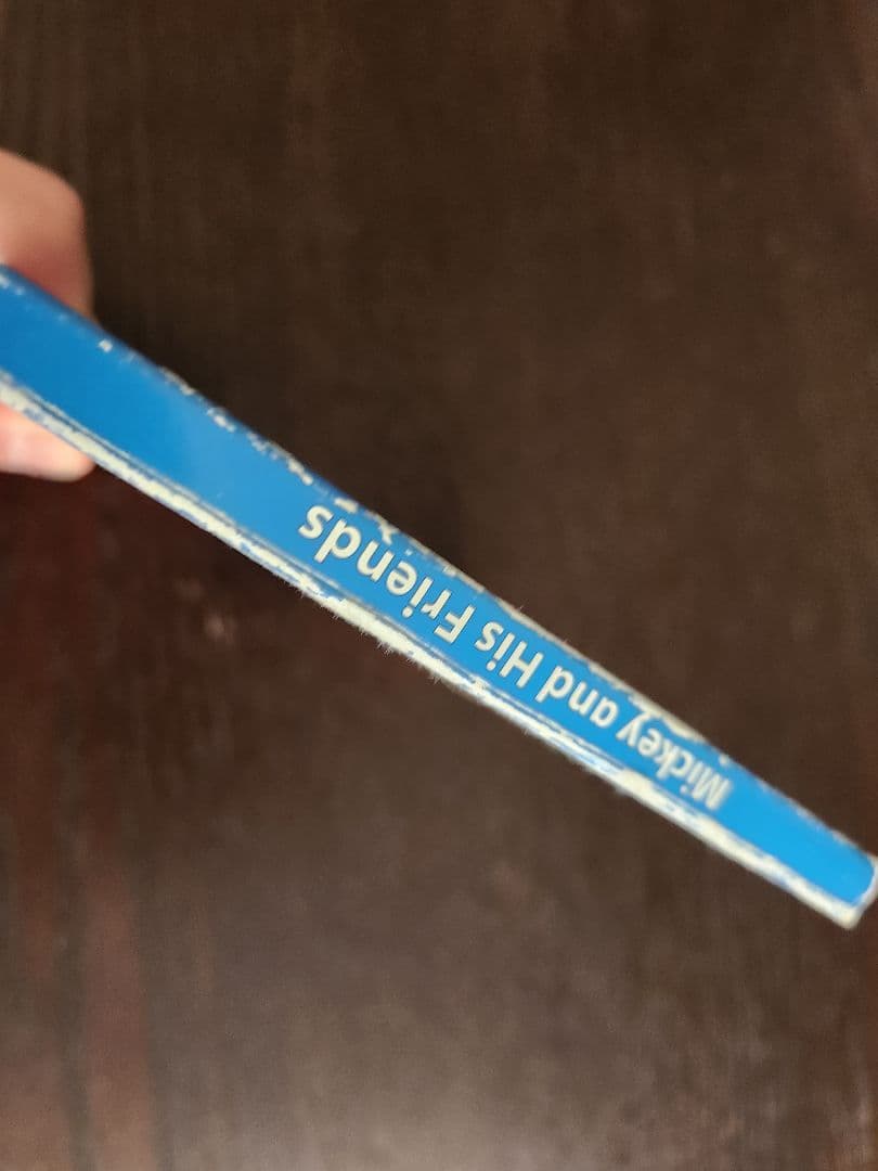 ディズニー英語システム DWE シングアロング フルセット