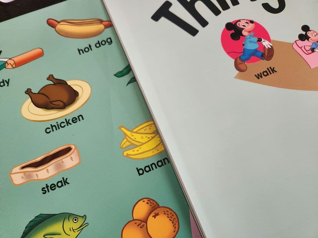 ディズニー英語システム DWE シングアロング フルセット