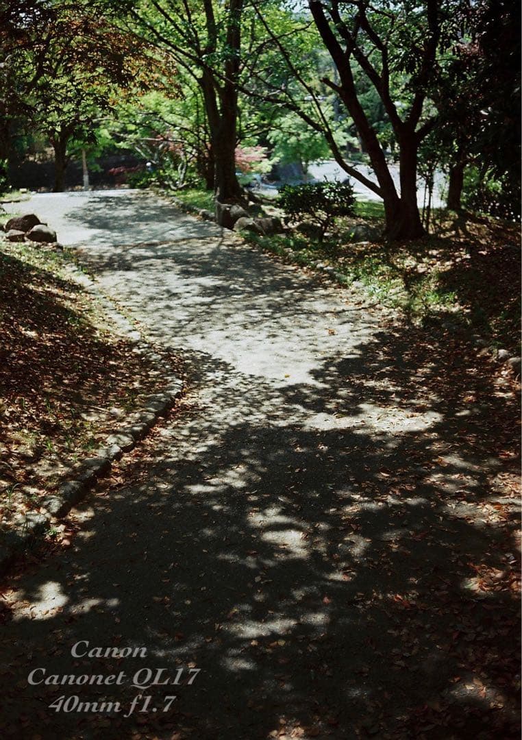 ★完動品＊美品＊初期保証★canon canonet ql17 ★作例多数！