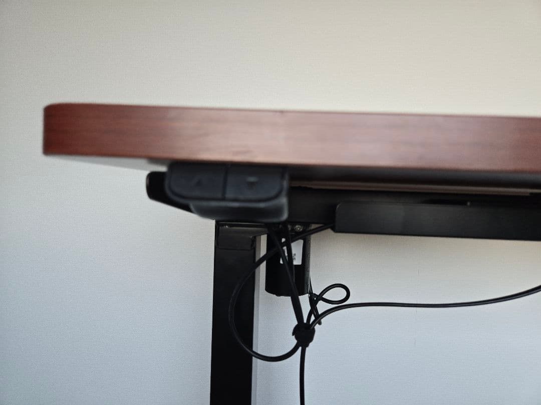 最終処分価格！　FLEXISPOT　EG-1