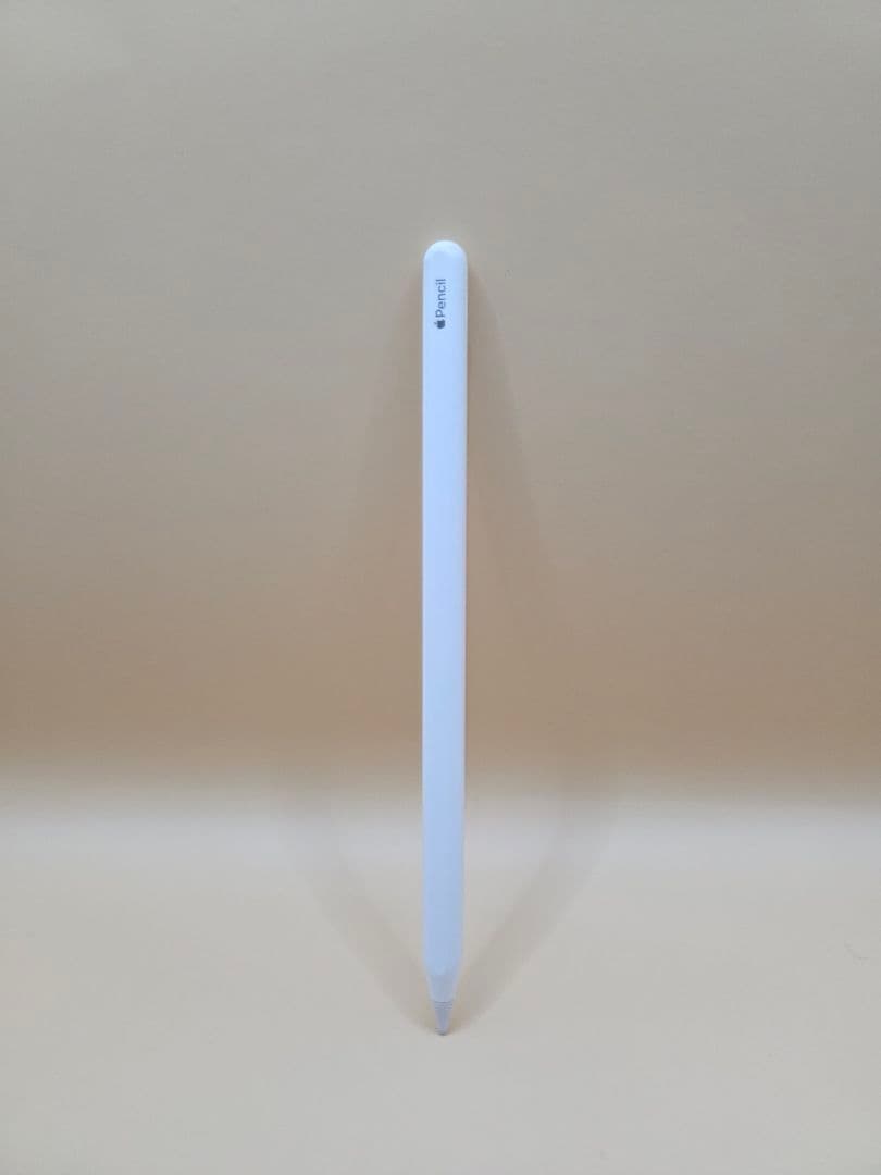 iPad Pro 12.9インチ 第5世代 Wi-Fi 256GB