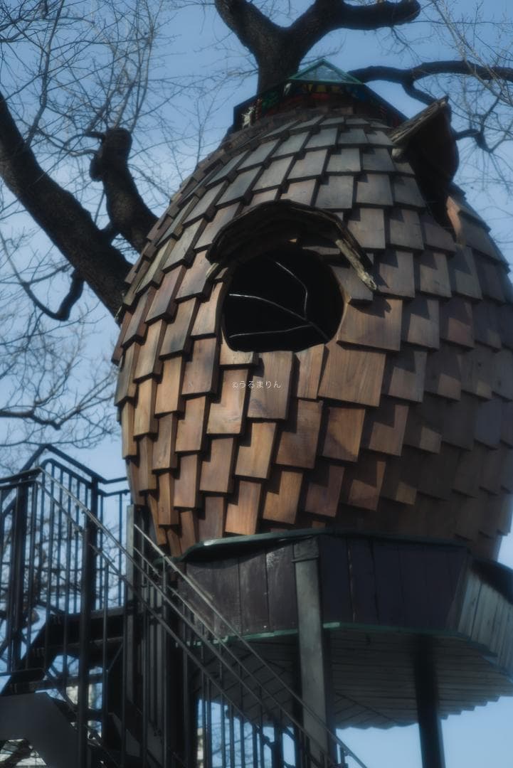 銘玉！Leica Summicron 50mm 1st Collapsible