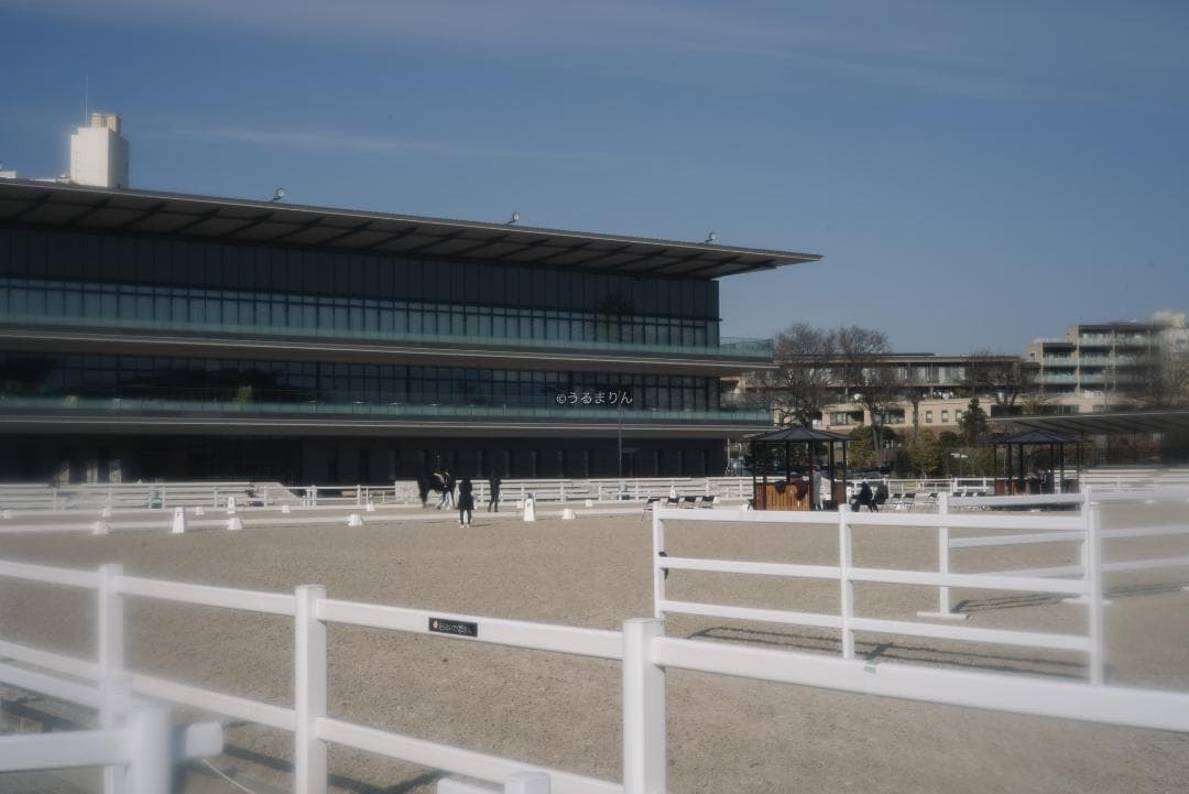 銘玉！Leica Summicron 50mm 1st Collapsible