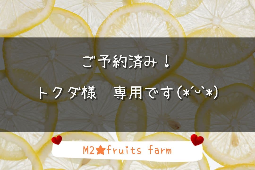 【ꕤ451】熊本県産 赤姫レモン 20kg（国産レモン）