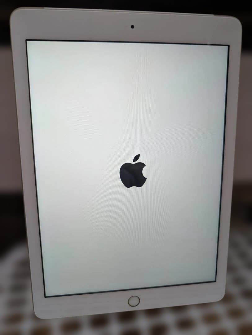 Apple iPad 第5世代(2017) A1823 128GB