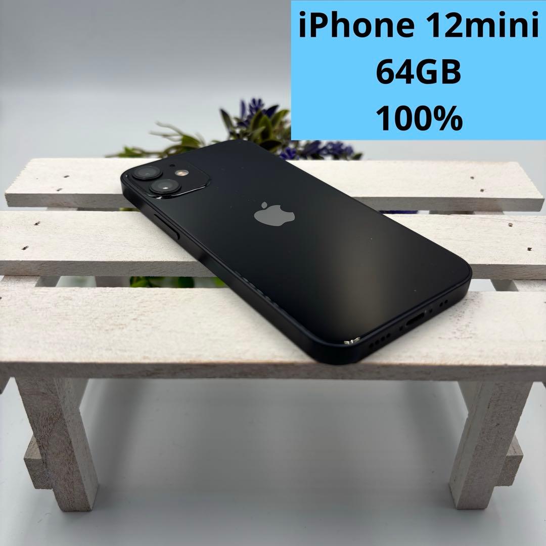 【美品】iPhone 12 mini 64GB ブラック 348