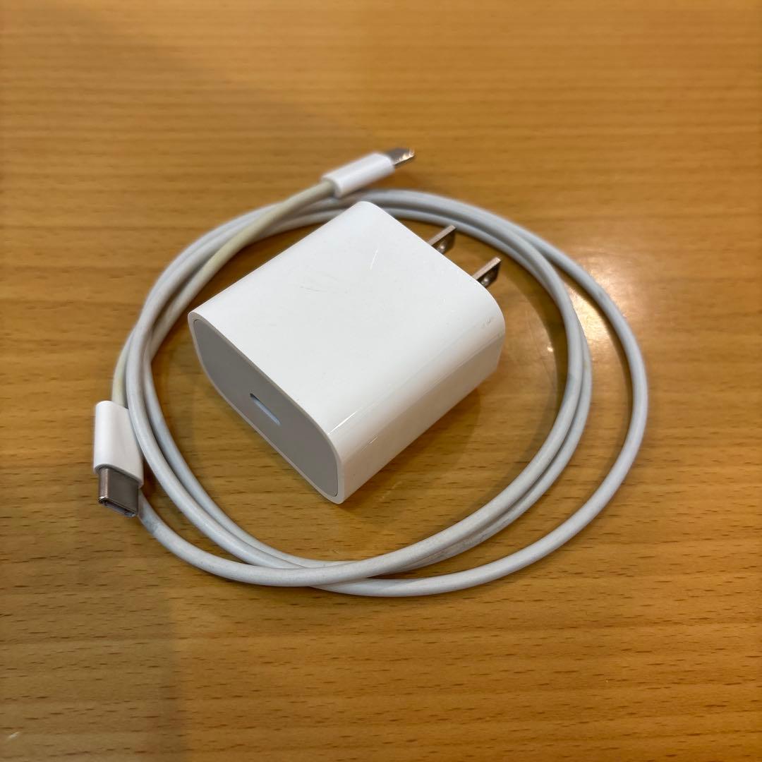 Apple iPad Pro (11インチ) 256GB 第一世代＋Pencil