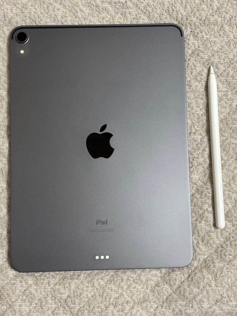 Apple iPad Pro (11インチ) 256GB 第一世代＋Pencil