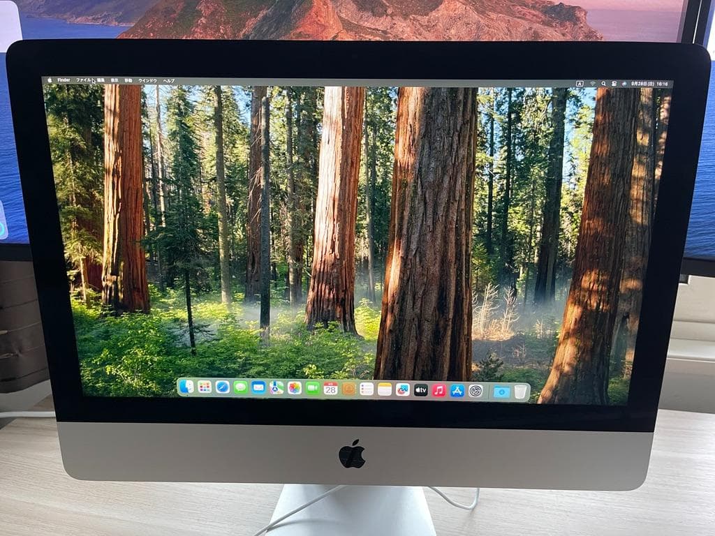 【Apple iMac 2019 21.5インチ】引越し処分 1TB