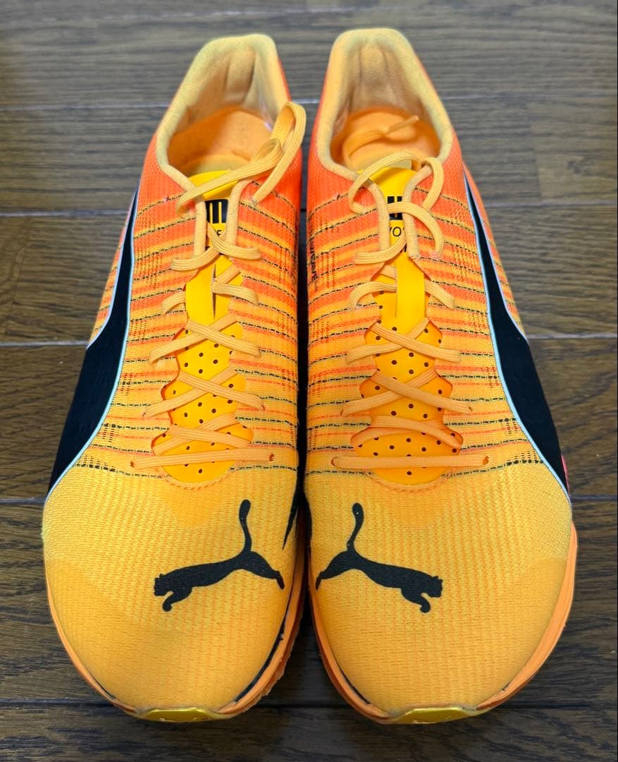 【着用数回のみ】PUMA フォルテニトロエリート 26.0