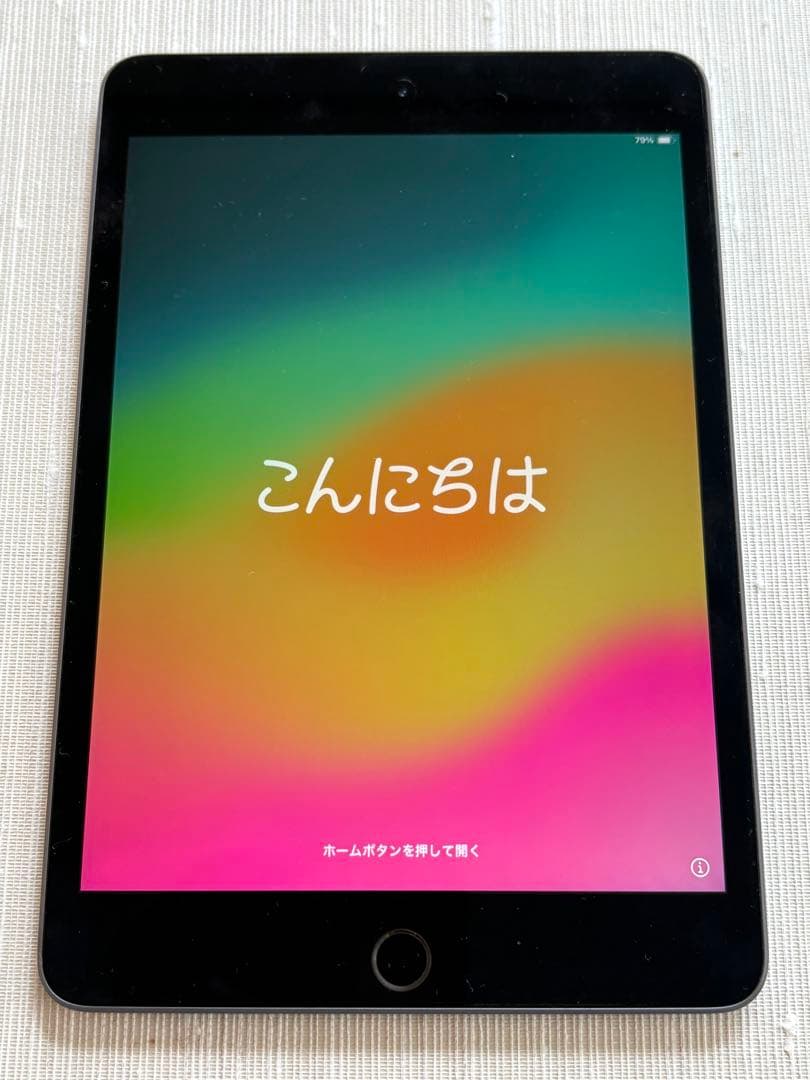 iPad本体 iPad mini 5 64GB Wi-Fi