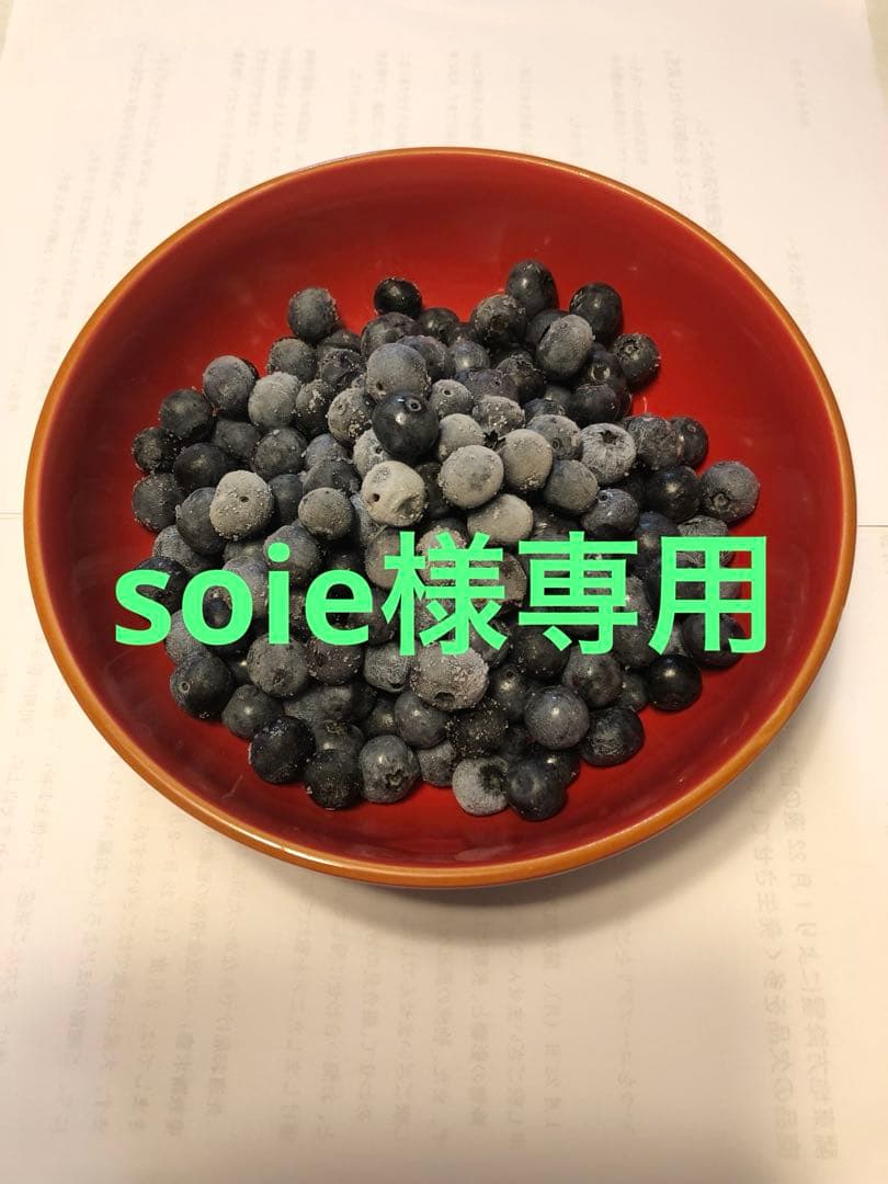 埼玉県産令和7年度　冷凍ブルーベリー9キロ