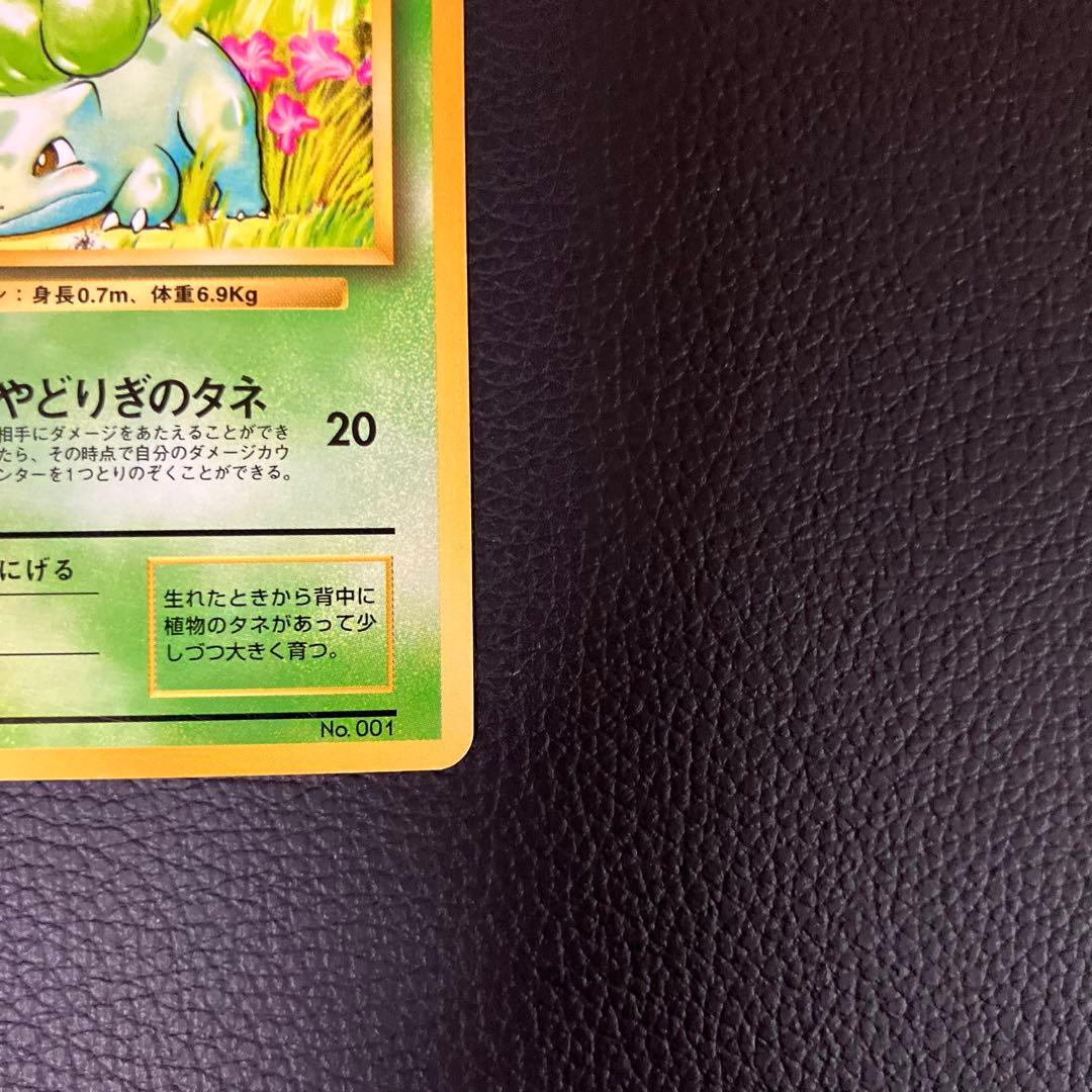 フシギダネ　旧裏　初版　マークなし　ポケモンカード