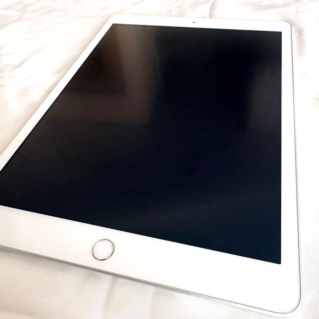 iPad 第7世代 128GB Wi-Fi シルバー 本体 47%動作確認済