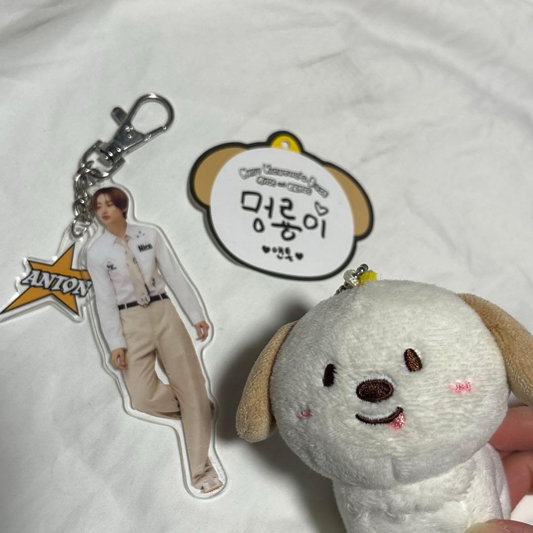 RIIZE アントン トレカ まとめ売り