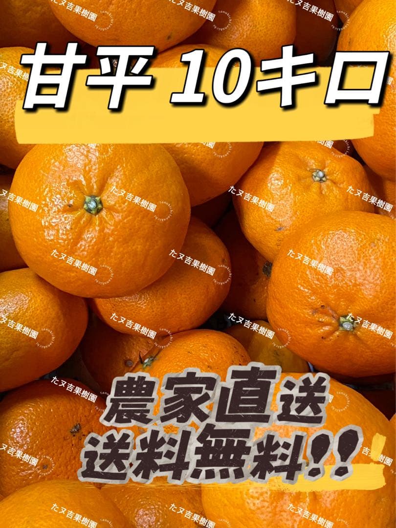 愛媛県産!! 甘平(家庭用10キロ) 農家直送