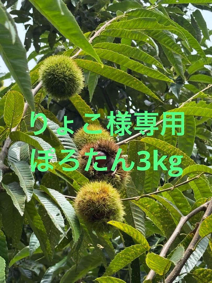 りょこ　10/29か30に発送