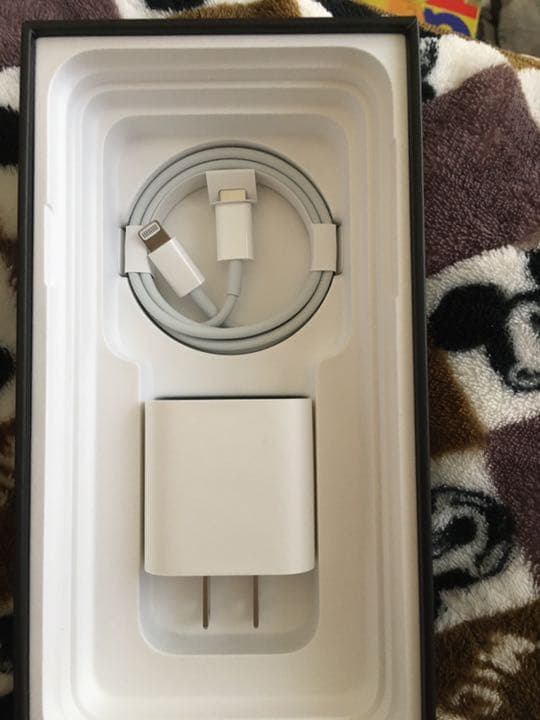 iPhone 純正 充電器