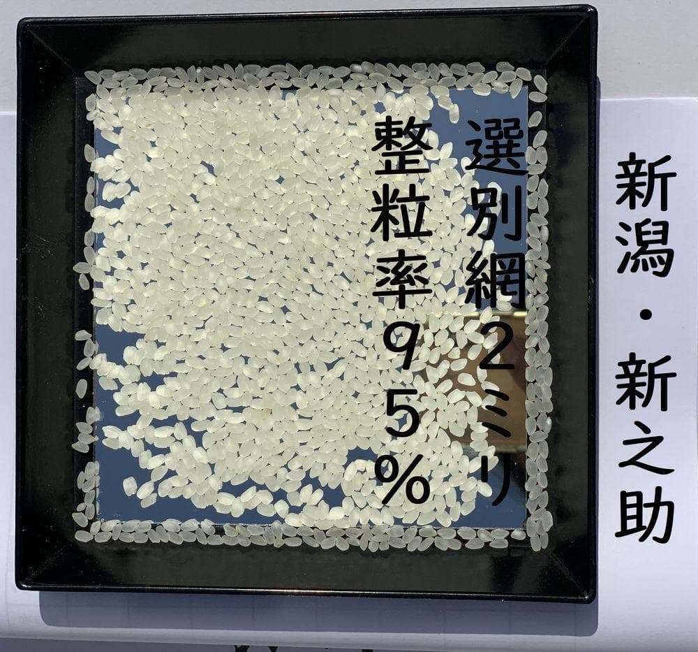 【無洗米】令和７年産　新潟　新之助　白米5kg×２個★農家直送★色彩選別済01