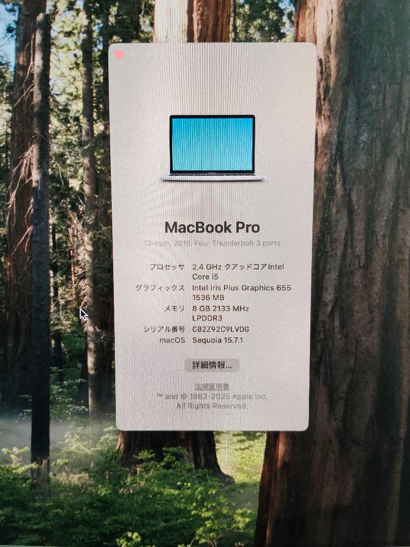 MacBookPro13 2019年 Corei5 8GB 256GB シルバー