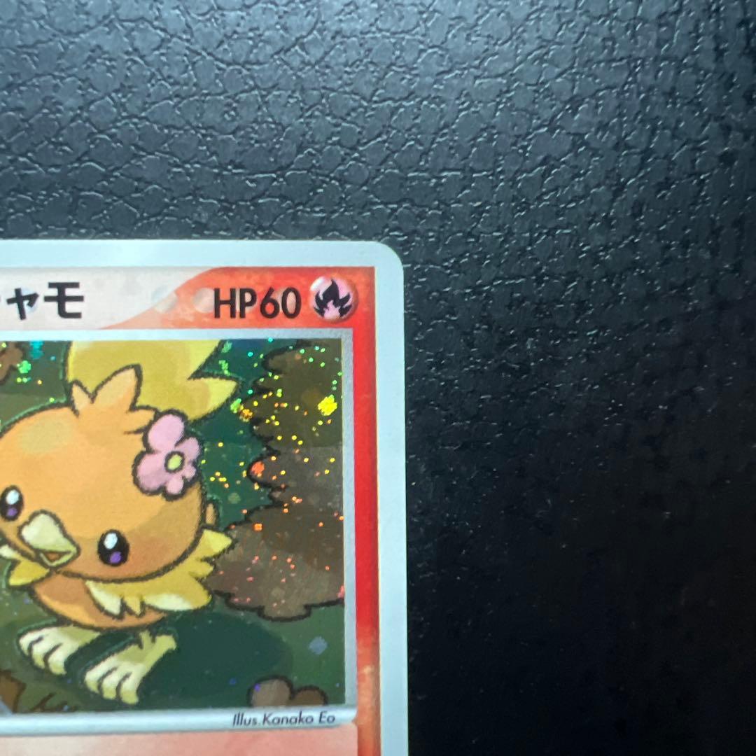 早いもの勝ち　ポケパークのアチャモ