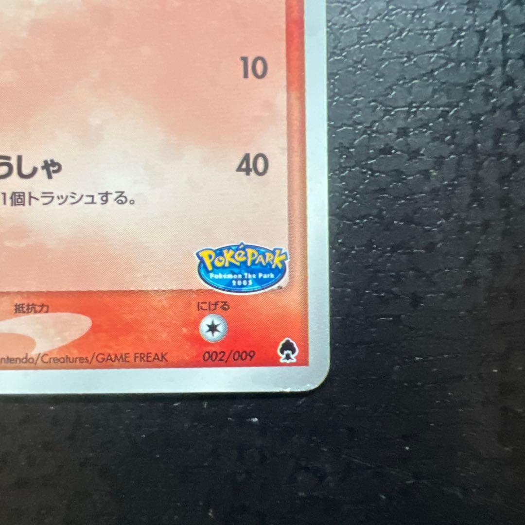 早いもの勝ち　ポケパークのアチャモ