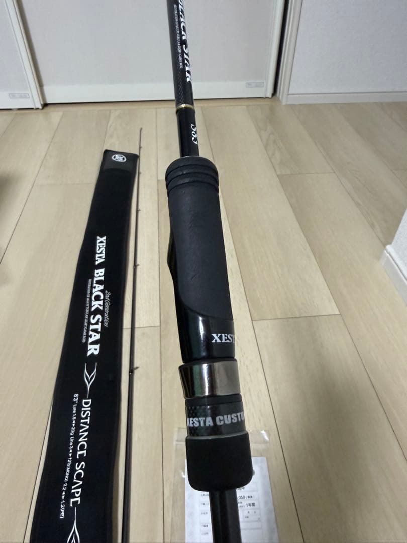 ゼスタ　ブラックスターセカンドジェネレーション　S83 ディスタンススケープ