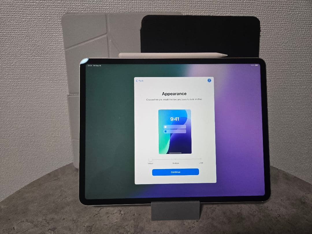 【最終値下げ】Apple iPad Pro /12.9/第4世代/128G/+α