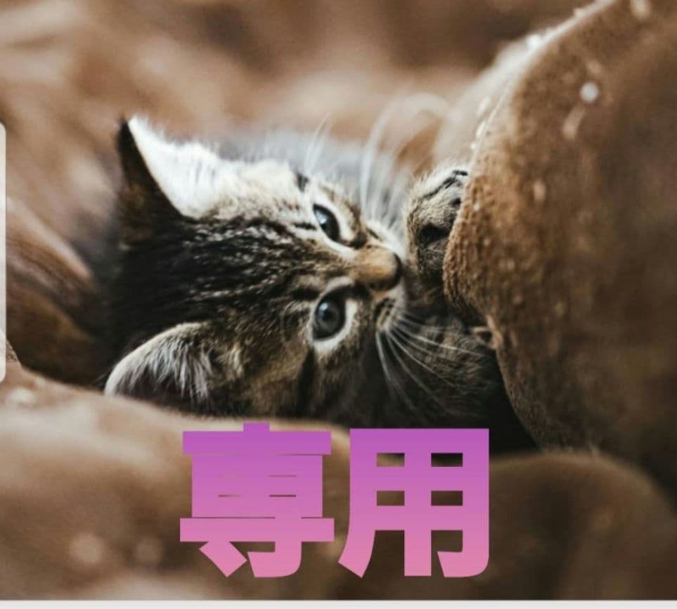 ミラノコレクションGR　2025　 フェースアップパウダー　リフィル(30g)