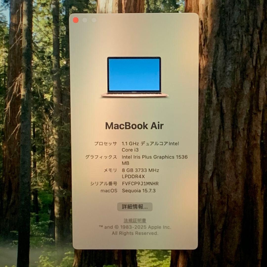 MacBook Air 2020 SSD256GB ローズゴールド パソコンPC