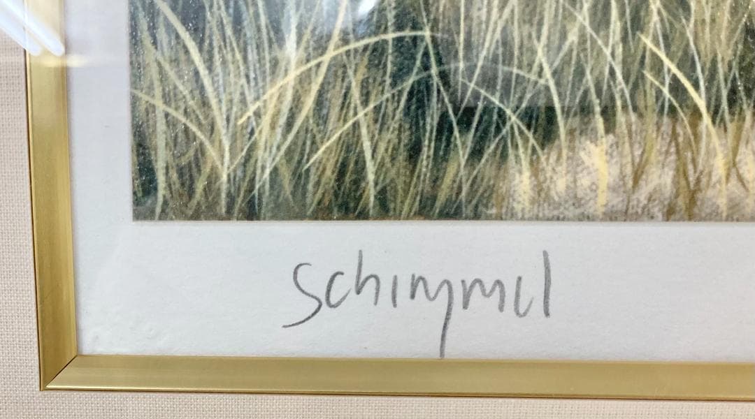 ★良品★ シム・シメール ファミリー・オブ・アース 090/395 絵画