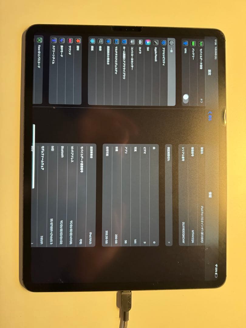 ジャンク　Apple iPad pro 12.9 第三世代256GB セルラー