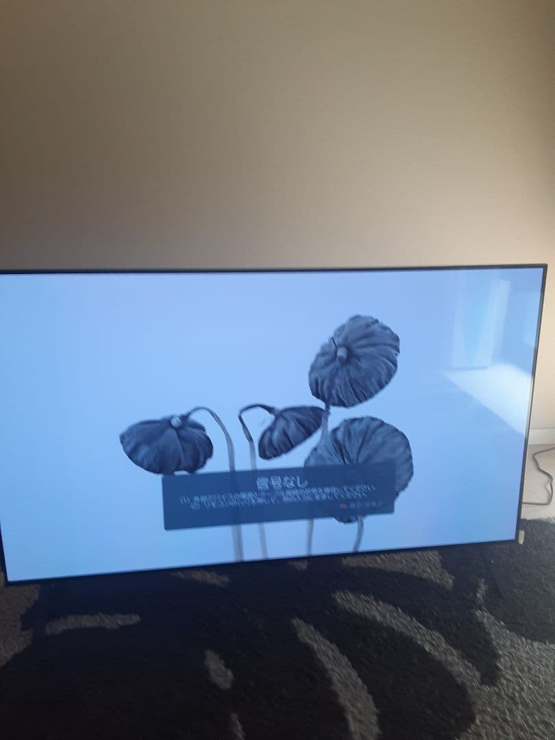 有機elテレビ　48v OLED48A2PJA 4K