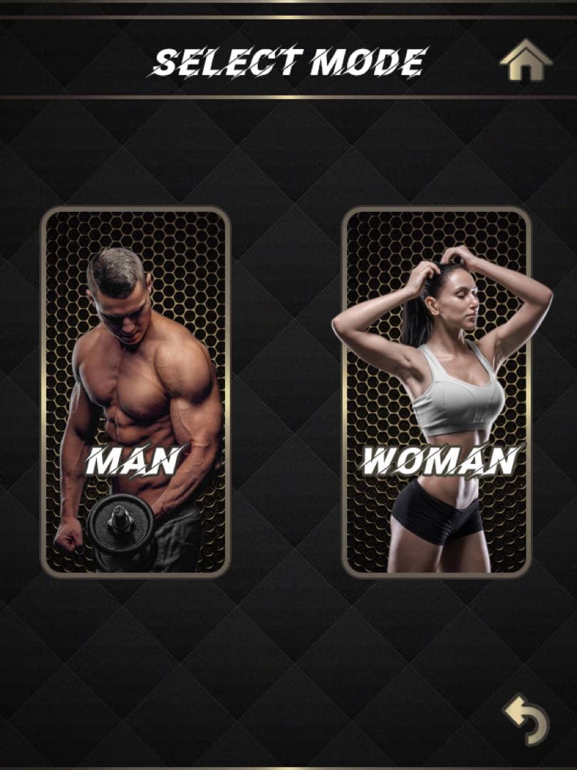 ems電磁パルスhimet