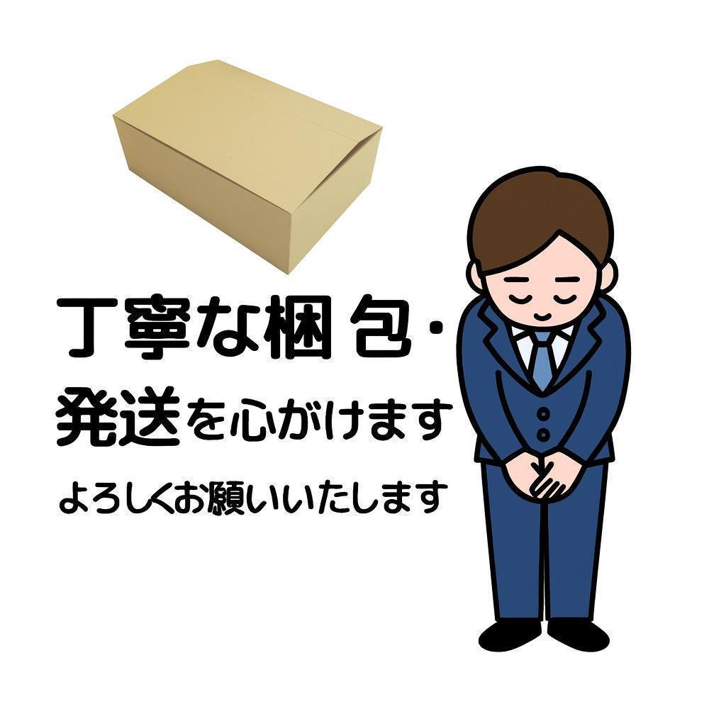 ASUNPIE 高圧洗浄機 強力モータ500w 吐出圧力8Mpa 充電式 コード