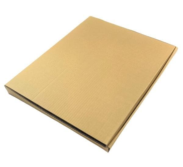 冴えない彼女の育てかた 深崎暮人 ローソンHMV限定 A3 額付 複製原画