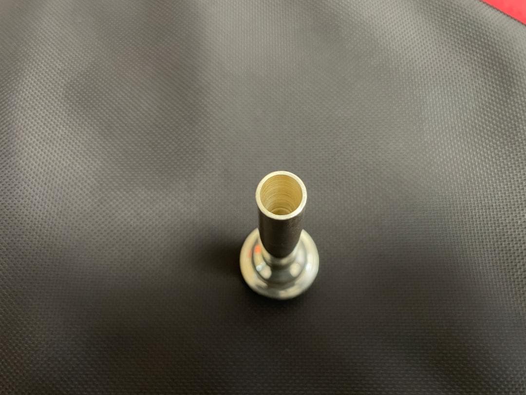 じゃい　Pickett Brass アレン・ヴィズッティモデル