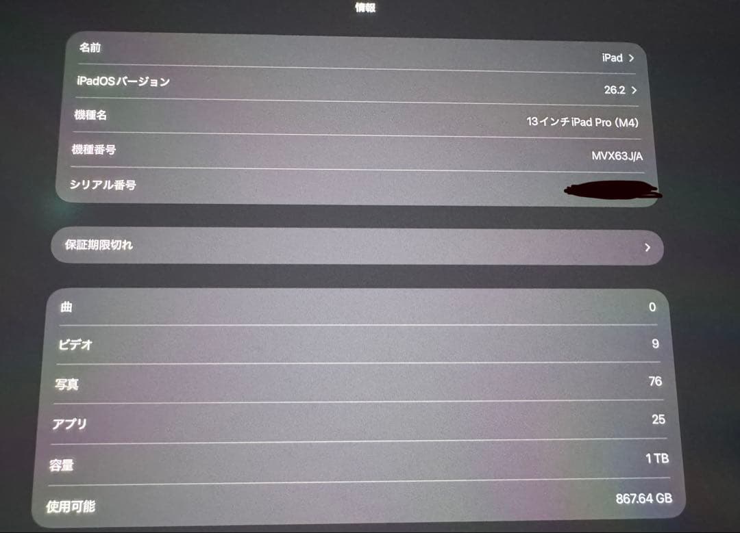 iPad Pro 13インチ M4 1TB Wi-Fi Apple pencil