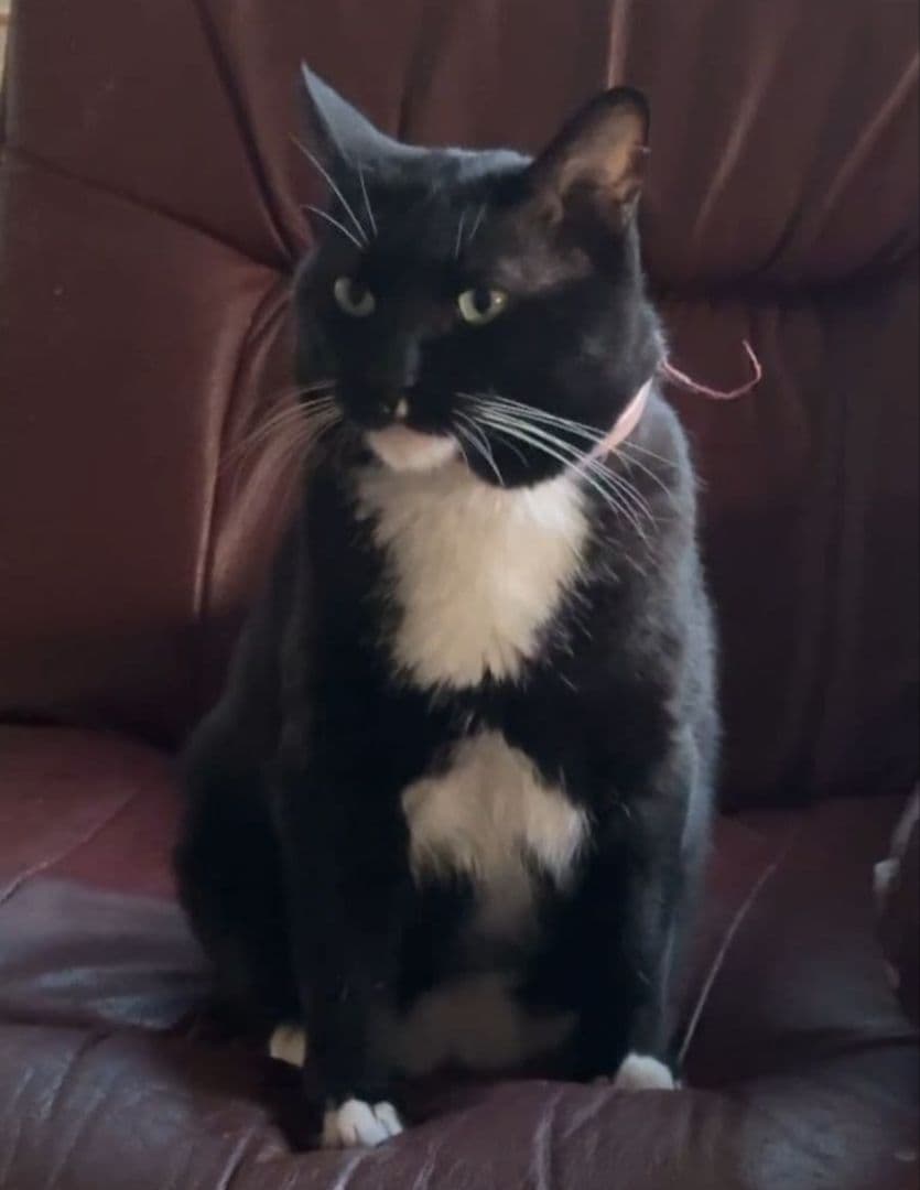 【みみみ】iPhoneケース♡