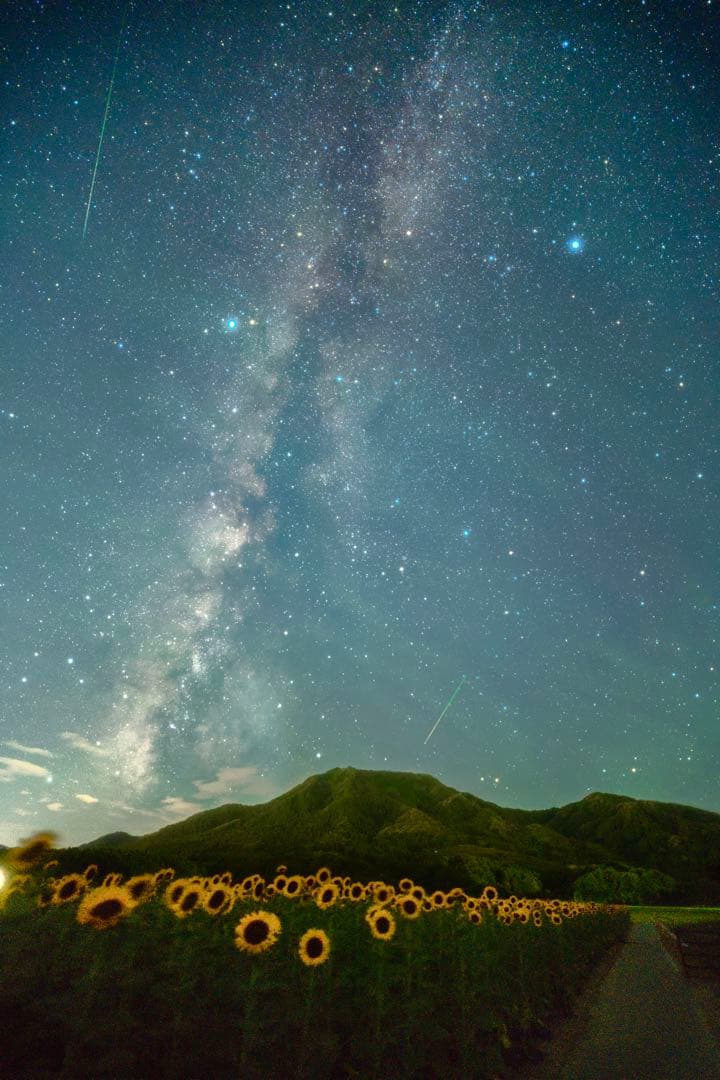 i*n様 Viltrox AF 16mm F1.8 レンズ Sony E マウン