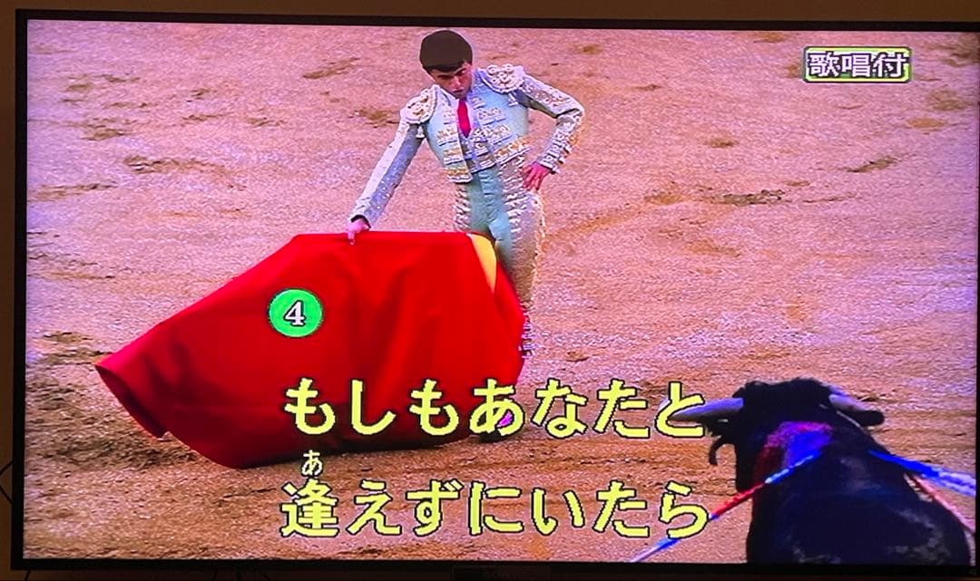 オンステージ　パーソナルカラオケ　　1200曲内蔵　Z-PK1200GT