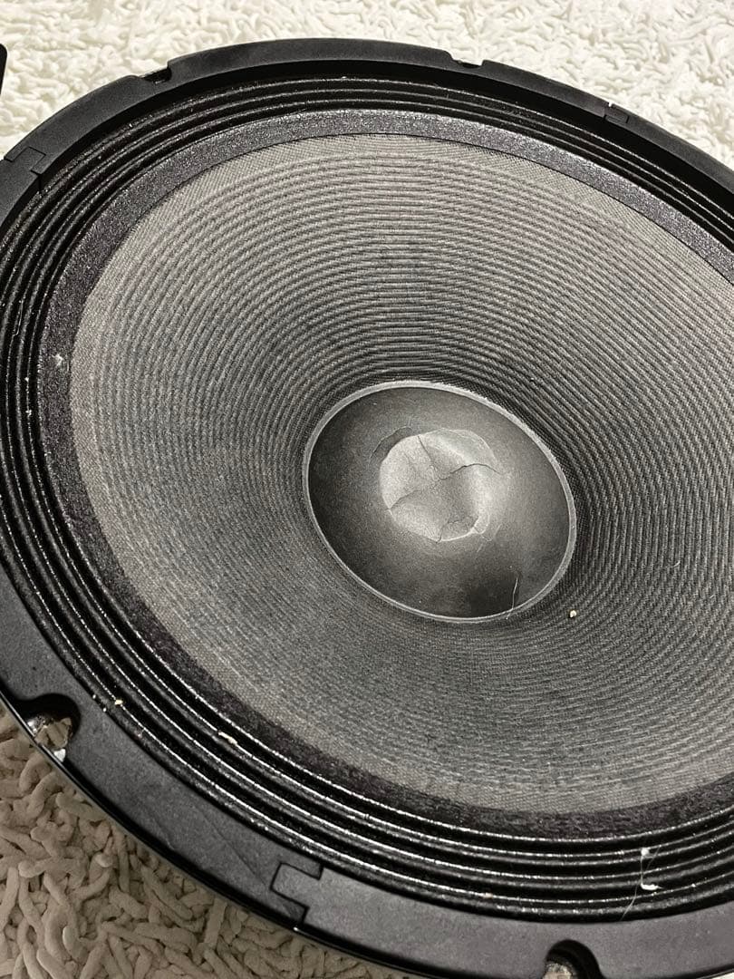 ClassicPRO15インチ 外向きユニット2個セット