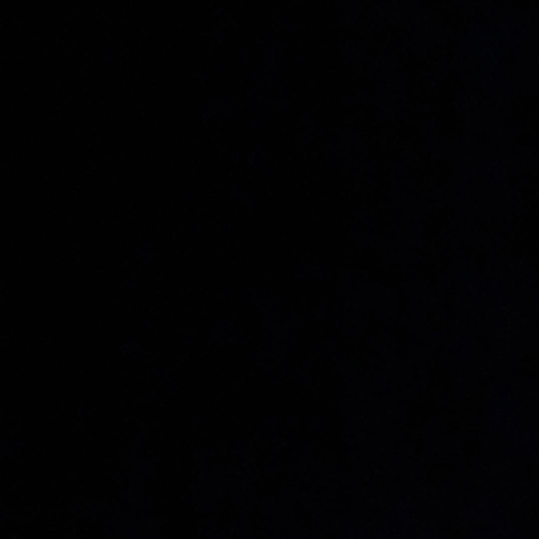 ZRX400 ポイントカバー ジェネレーターカバー