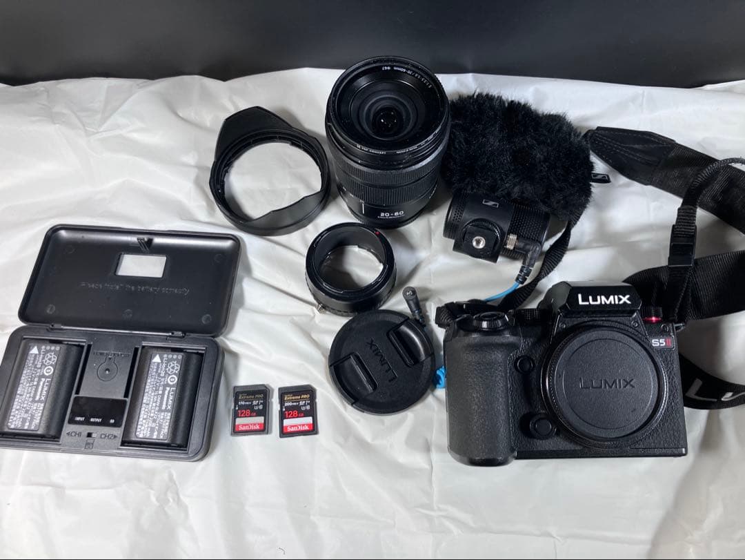 LUMIX ミラーレス一眼カメラ 本体と付属品