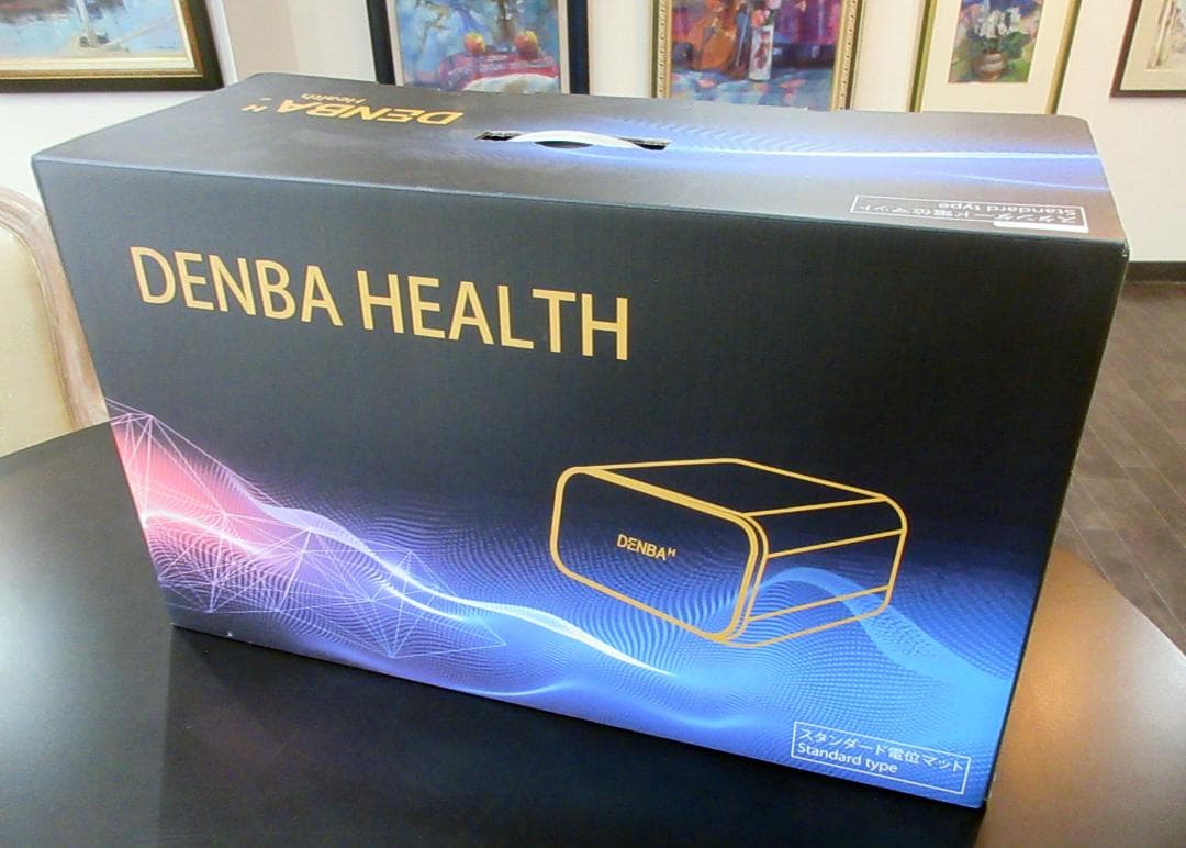 DENBA HEALTH スタンダードタイプ 美品