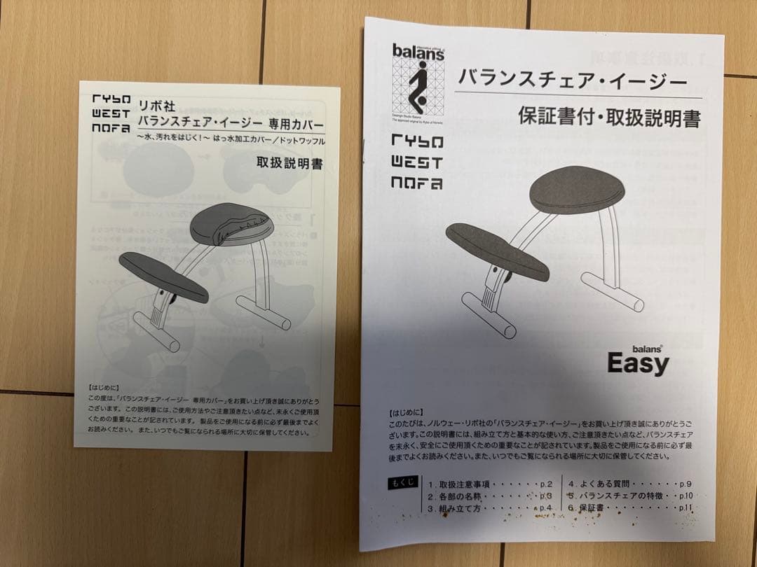 Rybo社 バランスチェア・イージー 純正カバー（ブルー）付
