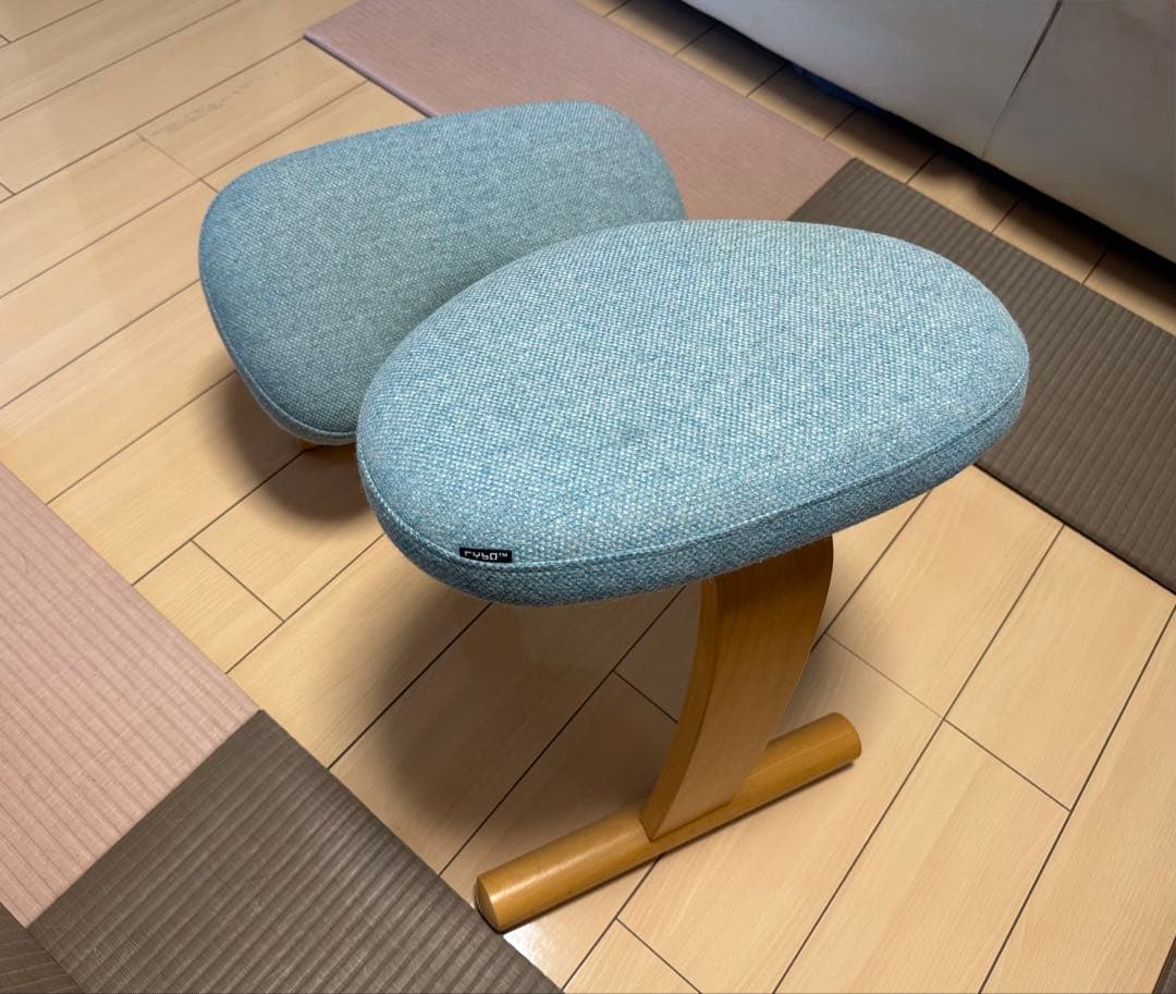 Rybo社 バランスチェア・イージー 純正カバー（ブルー）付